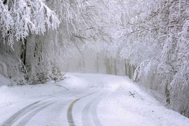 neve valmastallone