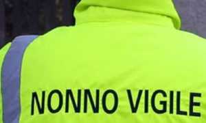 nonno vigile