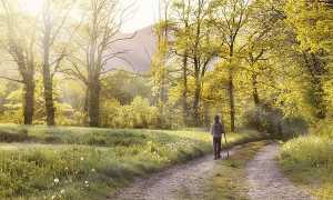 passeggiata natura