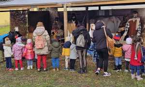 presepe generica