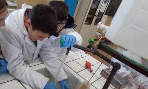 scuola studenti