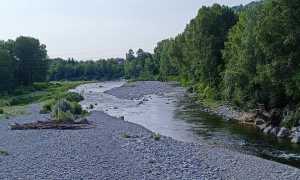 sessera torrente