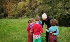 veglio bosco dei grandi