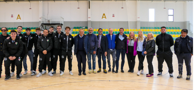 vercelli pala pregnolato