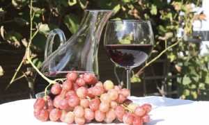 vinomoncrivello