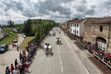 caresana corsa buoi