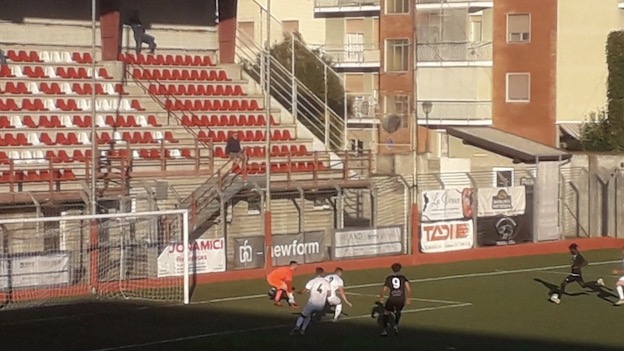 borgos legn
