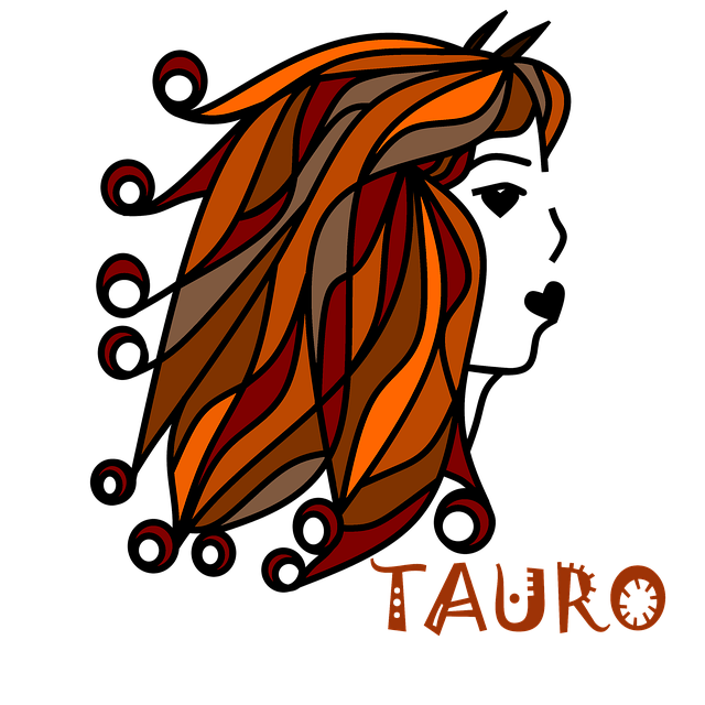 taurus 6668619 640
