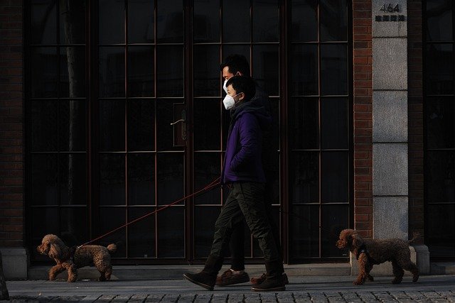 mask 4930050 640