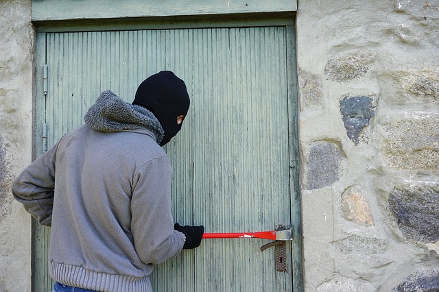 thief g0607b0d2f 640