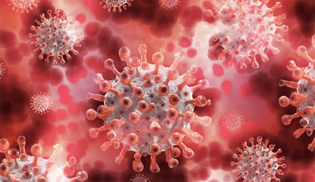 covid virus rendering images articles vco ossola 2021 novembre thumb medium650 0
